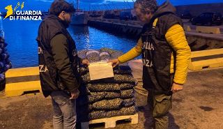 Ancona - Operazione “Fuori Quota”, oltre 4 tonnellate di pesce sequestrate nei porti marchigiani